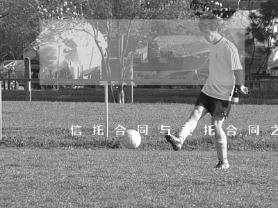 信托合同与委托合同之间的区别是什么