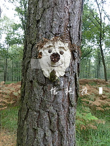 信托投資公司保證合同