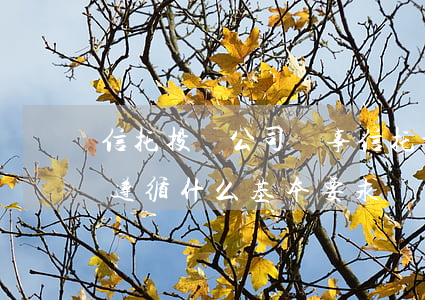 信托投資公司從事信托活動應(yīng)遵循什么基本要求