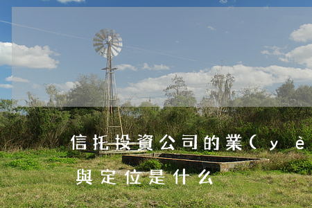 信托投資公司的業(yè)務(wù)方向與定位是什么