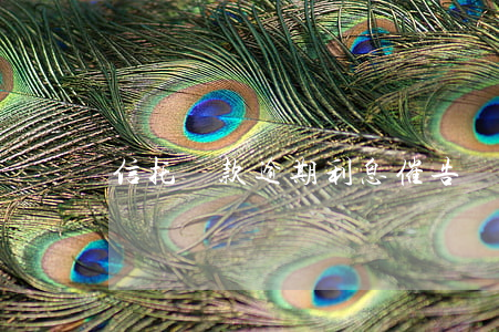 信托貸款逾期利息催告書