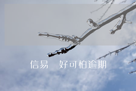 信易貸好可怕逾期