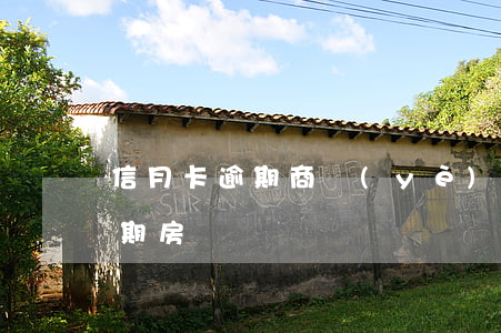 信月卡逾期商業(yè)貸款利率(信用卡逾期 房貸)