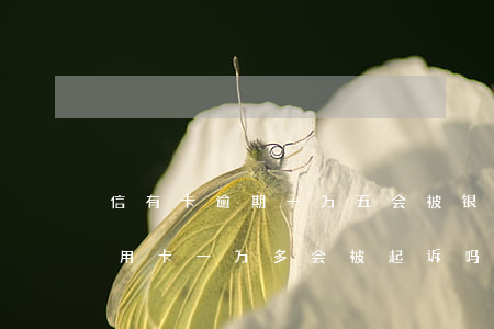 信有卡逾期一万五会被银行起诉吗(欠银行信用卡一万多会被起诉吗)