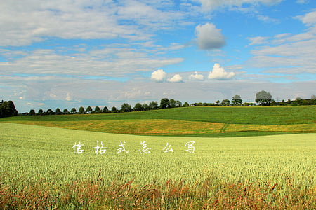 信格式怎么写