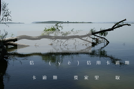 信業(yè)信用卡逾期(信業(yè)信用卡逾期說要家里來取證真的還是假的)