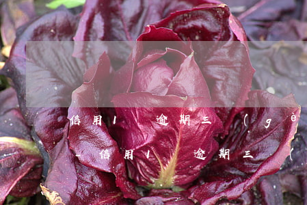 信用1萬逾期三個(gè)月了還3800-信用1萬逾期三個(gè)月了還3800利息多少