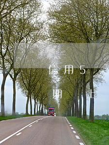 信用5萬以上卡逾期會怎么樣(信用卡5千逾期會上門嗎)