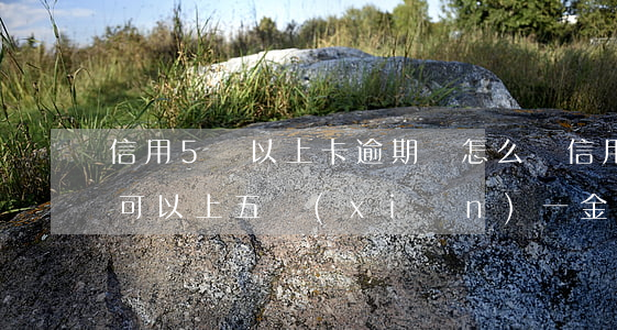 信用5萬以上卡逾期會怎么樣（信用卡有逾期可以上五險(xiǎn)一金嗎）