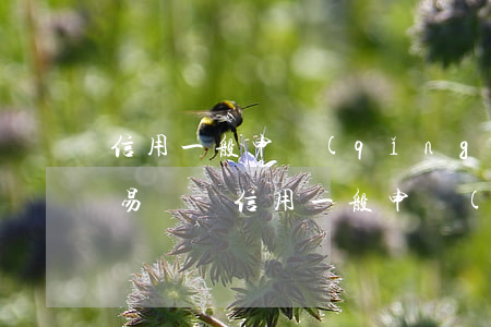 信用一般申請(qǐng)哪家的信用卡容易過-信用一般申請(qǐng)哪家的信用卡容易過審