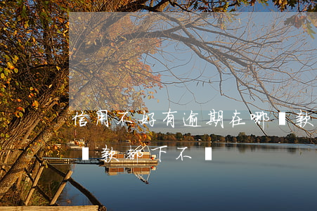 信用不好有逾期在哪貸款(信用沒有逾期,為何貸款都下不來)