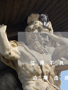 信用不良逾期還能申請信用卡嗎-因信用卡逾期造成的不良征信是否可以消除