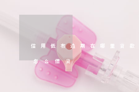 信用低有逾期在哪里貸款(信用不好有逾期該怎么借貸)