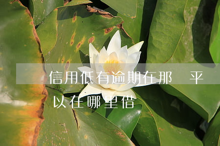 信用低有逾期在那個平臺可以借錢(信用低可以在哪里借錢)