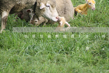 信用住逾期超過72小時(shí)(5年內(nèi)12個(gè)月有逾期,逾期不超過90天)