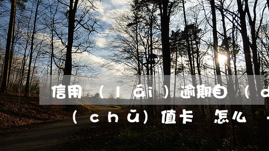信用來(lái)逾期自動(dòng)扣儲(chǔ)值卡錢怎么辦-信用來(lái)逾期自動(dòng)扣儲(chǔ)值卡錢怎么辦理