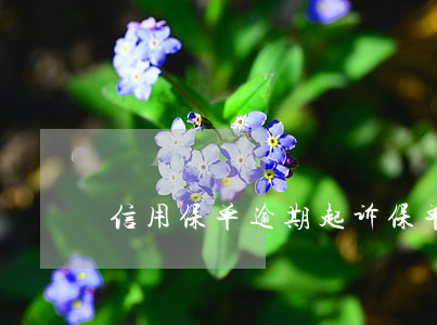 信用保单逾期起诉(保单贷逾期多久会被起诉)