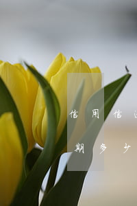 信用信逾期幾天會(huì)起訴(信用卡逾期多少天會(huì)上征信)