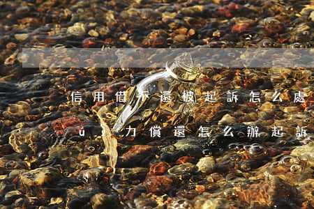 信用借不還被起訴怎么處理(信用貸款無(wú)力償還怎么辦 起訴 也還不了)