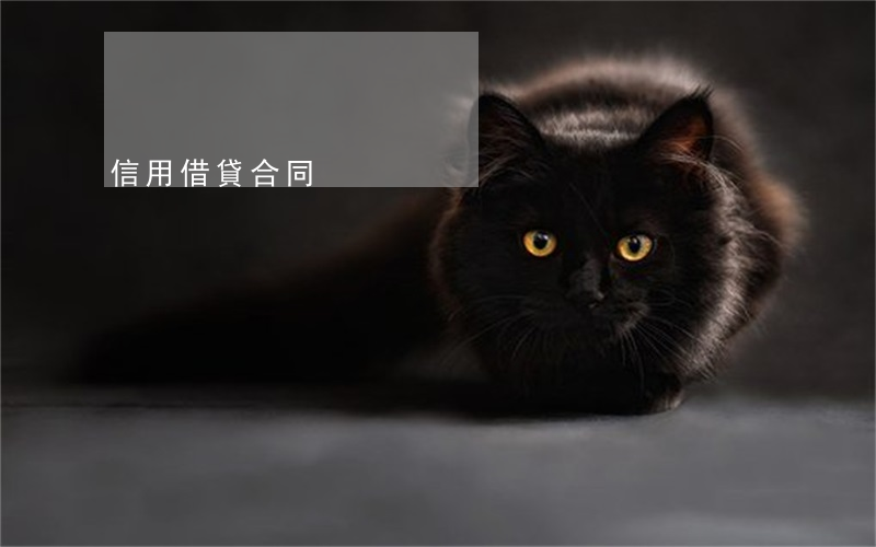 信用借貸合同
