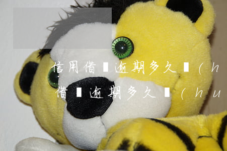 信用借貸逾期多久會(huì)被起訴（信用借貸逾期多久會(huì)被起訴）