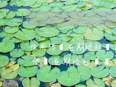 信用借貸逾期被起訴發(fā)短信-信用借貸逾期被起訴發(fā)短信是真的嗎