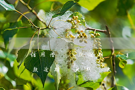 信用借貸還款逾期規(guī)則(信用貸還款逾期幾天影響大嗎)