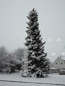 信用公社逾期不還會(huì)怎樣處理（信用公社逾期不還會(huì)怎樣）