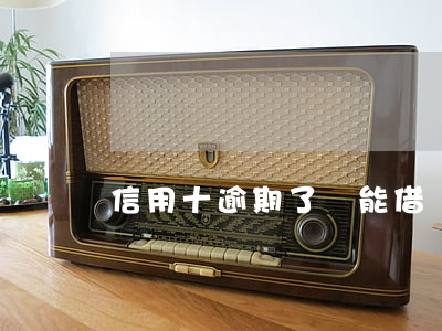 信用十逾期了還能借嗎-信用逾期能申訴嗎