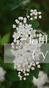 信用卡---嚴(yán)重逾期(信用卡嚴(yán)重逾期最佳處理方法)
