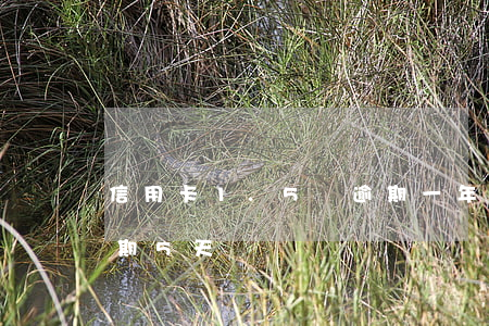 信用卡1.5萬逾期一年（信用卡額度1萬逾期5天）