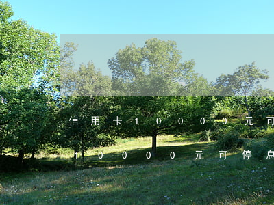 信用卡10000元可停息掛賬嗎-信用卡10000元可停息掛賬嗎