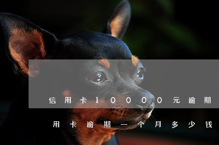 信用卡10000元逾期一天多少钱（民生信用卡逾期一个月多少钱）