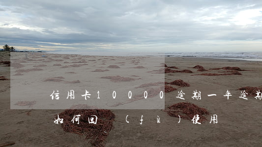 信用卡10000逾期一年（逾期一年信用卡如何回復(fù)使用）