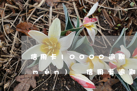 信用卡10000逾期會(huì)上門(mén)嗎（信用卡逾期5000會(huì)找上門(mén)嗎）