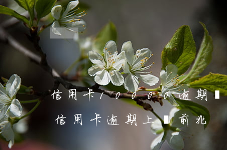 信用卡10000逾期會(huì)上門嗎（信用卡逾期上門前兆）