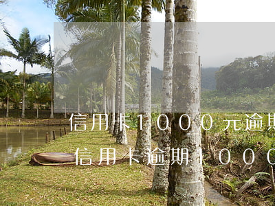 信用卡1000元逾期15個(gè)月-信用卡,逾期1000多塊錢沒(méi)還會(huì)怎么樣