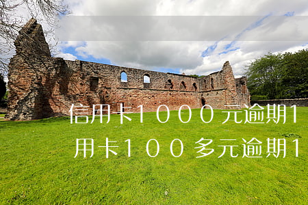 信用卡1000元逾期15個(gè)月(信用卡100多元逾期10多天)