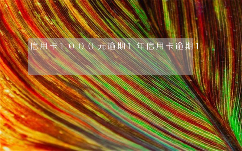 信用卡1000元逾期1年(信用卡逾期1萬)