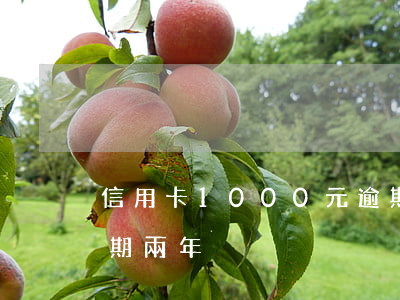 信用卡1000元逾期5年（500信用卡逾期兩年）