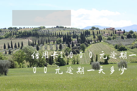 信用卡1000元逾期一個月(信用卡10000元逾期一天多少錢)