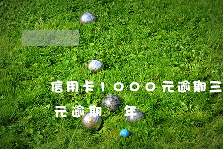 信用卡1000元逾期三年(信用卡1000元逾期兩年)