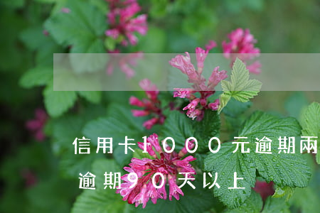 信用卡1000元逾期兩年（浙商銀行信用卡逾期90天以上）