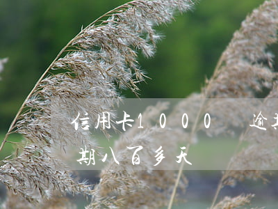 信用卡1000塊逾期八年還多少（信用卡逾期八百多天）