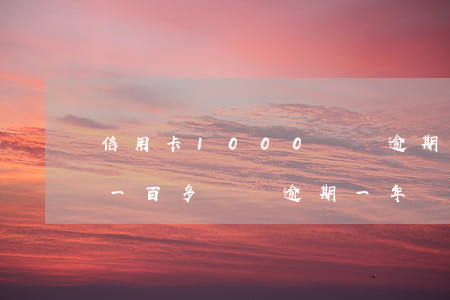 信用卡1000塊錢逾期6個月（中行信用卡一百多塊錢逾期一年）