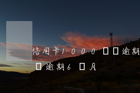 信用卡1000塊錢逾期(信用卡1000塊錢逾期6個月)