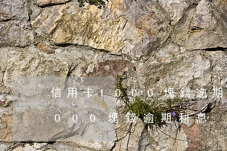 信用卡1000塊錢逾期利息多少（信用卡1000塊錢逾期利息）