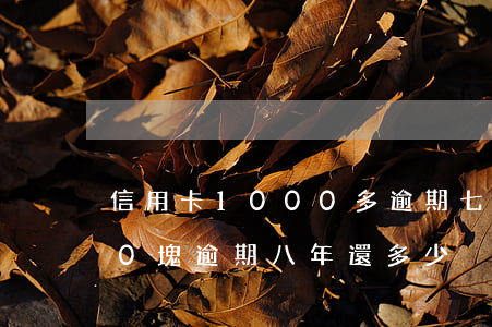 信用卡1000多逾期七八年 信用卡1000塊逾期八年還多少