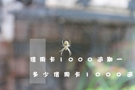 信用卡1000逾期一個(gè)月利息要多少（信用卡1000逾期一年多錢）