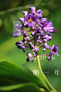 信用卡1000逾期一年(信用卡1000逾期一年滯納金多少)